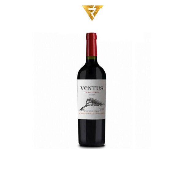 Ventus Malbec 750cc